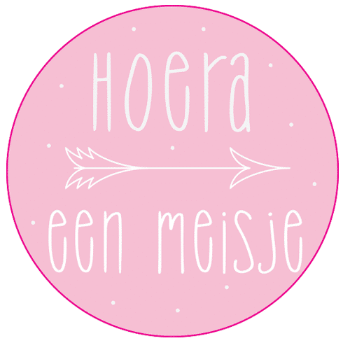 Stickervel Hoera Een Meisje Bestel Je Vandaag Bij Lieve Labels Nl